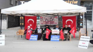 Muşta ailelerin evlat nöbeti devam ediyor
