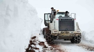 Muşta karla mücadelede büyük başarı: Tüm köy ve mezra yolları açıldı