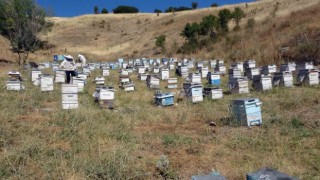 Nakliye giderleri gezgin arıcıları olumsuz etkiledi