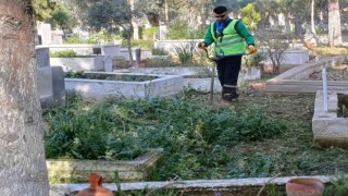 Nazillide mezarlıklar bakıma alındı