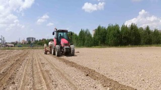 Niğde Patates Araştırma Enstitüsüne işçi alınacak