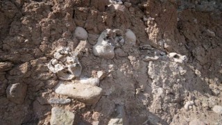 Niğdedeki dinozor fosili sanılan oluşumlar traverten taşı çıktı