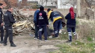 Odun kesmeye diye gitti, cansız bedeni bulundu