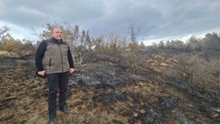 Orman Bölge Müdürü Bayraktaroğlu çalışmaları inceledi