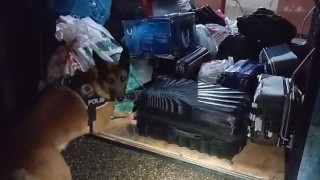 Osmaniye'de Narkogüç Operasyonu: 5 Kişi Tutuklandı
