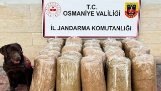 Osmaniye'de Uyuşturucu ve Kaçakçılığa Darbe