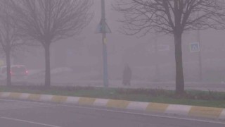Pendikte kartpostallık sis manzarası mest etti