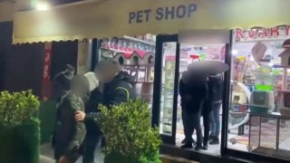 Pet shopta düzensiz göçmen operasyonu
