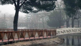 Sakaryada sis manzarası