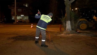 Sakaryanın sembol noktalarına estetik dokunuş