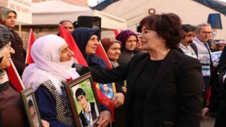 Sanatçı Hülya Koçyiğit Diyarbakır annelerini ziyaret etti