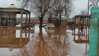 Şanlıurfada kırsal mahalleler sel suları altında kaldı