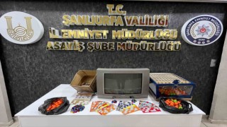 Şanlıurfada kumar operasyonu: 5 gözaltı