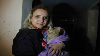 Sel suyuyla dolu bodrum katta ölümü göze alıp kedisini kurtaran kadın o anları anlattı