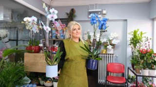 Sevgililer en çok kırmızı gülü ve şans getirdiğine inanılan mavi orkideyi tercih ediyor