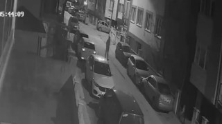 Sokak üzerindeki araçları tek tek çizdi