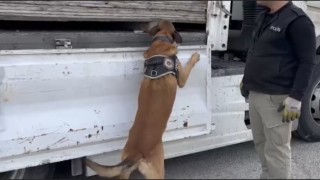 Suntaların içinde 32 milyon TLlik uyuşturucu çıktı