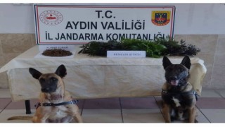 Şüpheli şahsın ikametinde uyuşturucu ele geçirildi