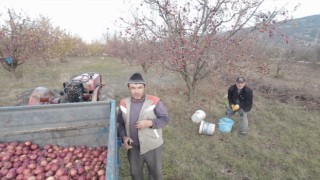 Tarlada çalışan babaya dron şakası gülme krizine soktu