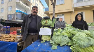 Tokatlılar lahana adamla kar hasreti giderdi