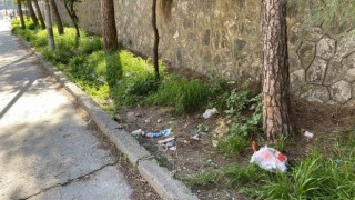 Topyatağı değil çöpyatağı varyantı