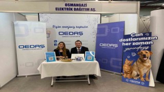 Üniversite öğrencilerinin iş başvurusu talepleri de alınıyor