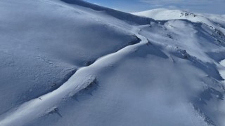 Uzungölün zirvelerinde dronla tilkiyi saniye saniye takip etti