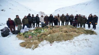 Vali Çakır, yaban hayvanları için karlı dağlara yem bıraktı