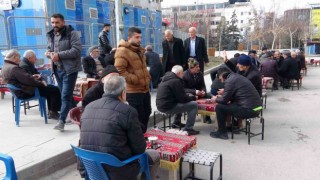 Vanda bahar havası yaşanıyor