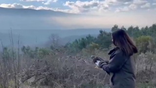 Yaralı şahin doğaya salındı