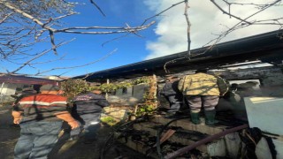 Yaşlı adam yangında hayatını kaybetti