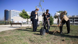 Yaşlılar tedavi gördükleri hastanenin bahçesine fidan dikti