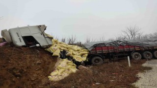 Yem yüklü tır yoldan çıktı: 2 yaralı