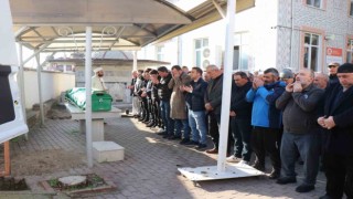 Yol kenarında ölü bulunmuştu yeni detaylar ortaya çıktı