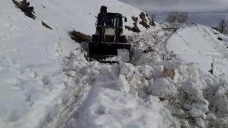 Yüksekovadaki köy yollarında karla mücadele çalışması devam ediyor