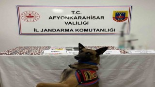 Zehir tacirlerini jandarma yakaladı