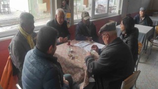 Zeytin üreticileri kokarca zararlısına karşı bilgilendirildi