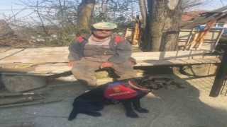 60 yaşındaki zihinsel engelli kayıp adam, 3 kilometre uzakta iz takip köpeği ile bulundu