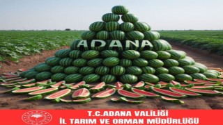 Karpuz üretiminde lider Adana