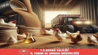 Adana soya üretiminde Türkiye birincisi oldu
