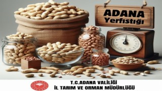 Adana yerfıstığı üretiminde Türkiye birincisi oldu