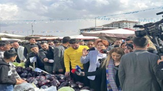 AK Parti kral sözlerine Akşenerden cevap: İYİ Parti de kraliçe