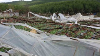 Alanyada hortum 250 dönümden fazla seraya zarar verdi