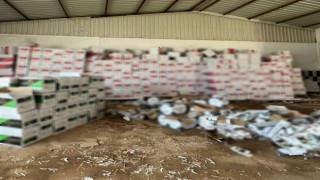 Antalyada 8 milyon 970 bin boş makaron ele geçirildi
