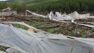 Antalya'da Hortum Felaketi: 250 Dönüm Sera Yıkıldı, 2 Yaralı