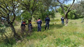 Aydında bir kişi ağaçta asılı halde bulundu