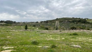 Aydında işlenmeyen tarım arazileri üretime kazandırılacak