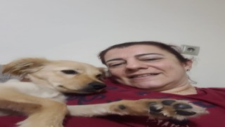 Aydındaki köpek eğitmeni mağdurlarının sayısı artmaya başladı