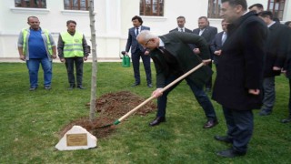 Bakan Uraloğlu Bilecikte çınar fidanı dikti