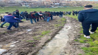 Balık tutarken Dicle Nehrine düşen yaşlı adamı AFAD kurtardı